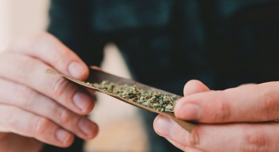 Cannabis could increase your risk of stroke and heart failure