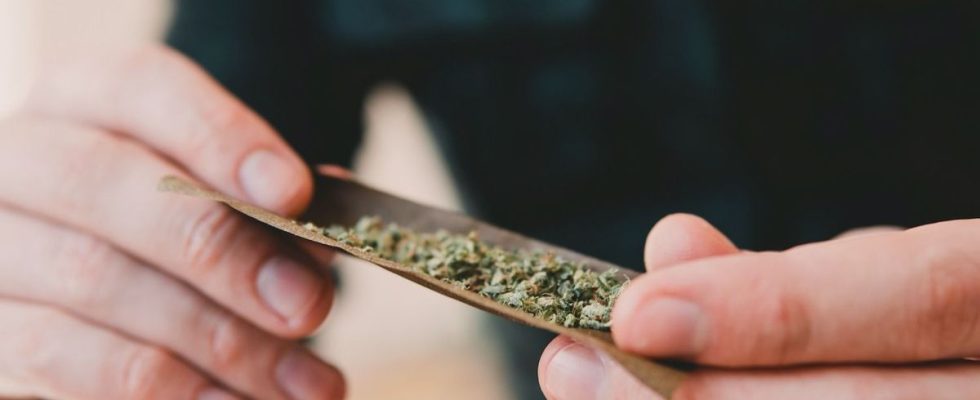 Cannabis could increase your risk of stroke and heart failure