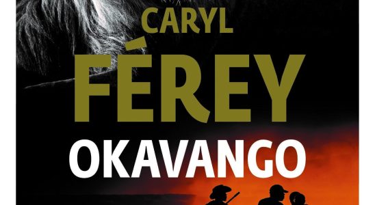 Caryl Ferey the thriller writer who roars like a lion