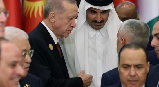 Critical meeting from President Erdogan with Sisi