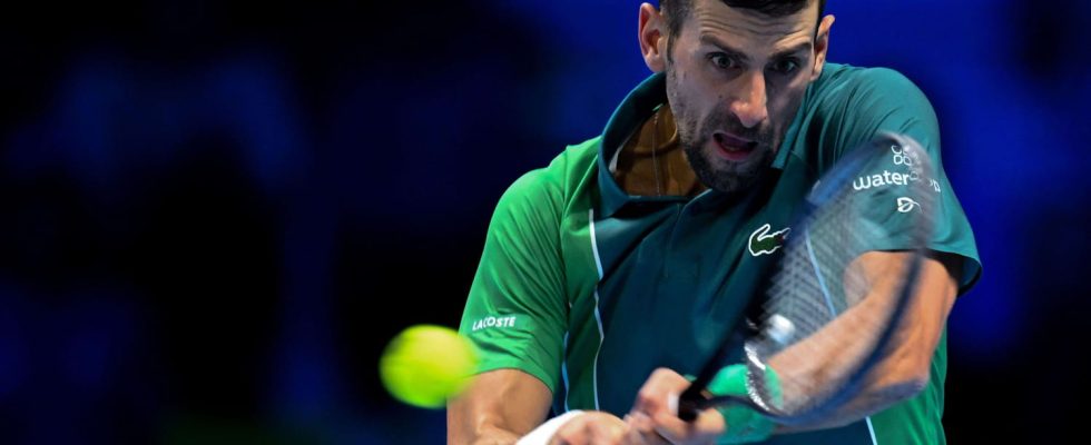 Djokovic Sinner the Italian hope challenges the world No