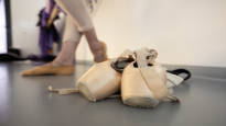 EPNs news story about the Ukrainian ballet spread in Russia