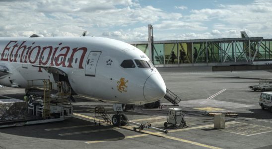 Ethiopian Airlines expands its fleet and confirms its ambitions