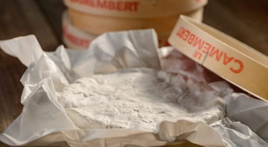 Europe is attacking our good old boxes of Camembert