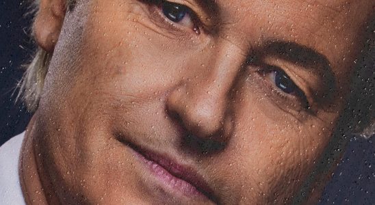Everyone is chasing Wilders in Dutch horror