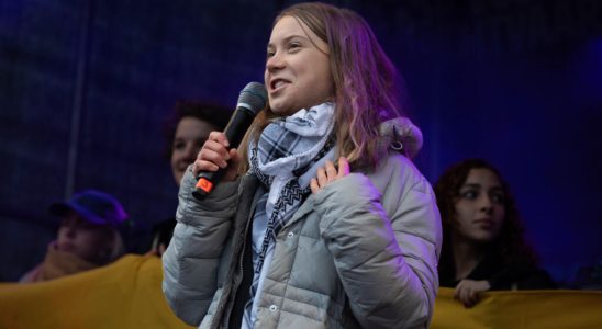 Greta Thunberg widely criticized in Germany after a call for