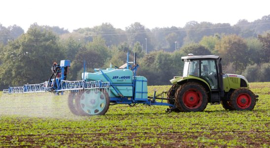 How dangerous is glyphosate What science really says