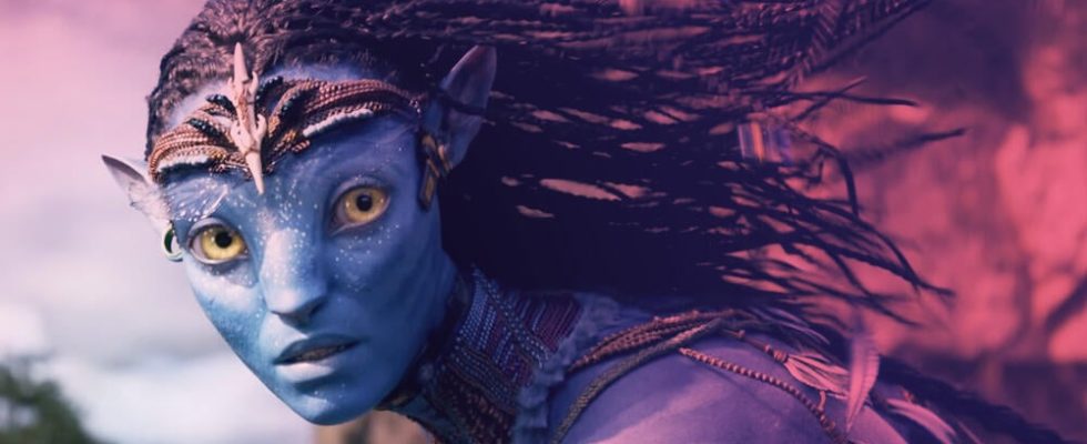 James Cameron confirms the start of Avatar 3 but