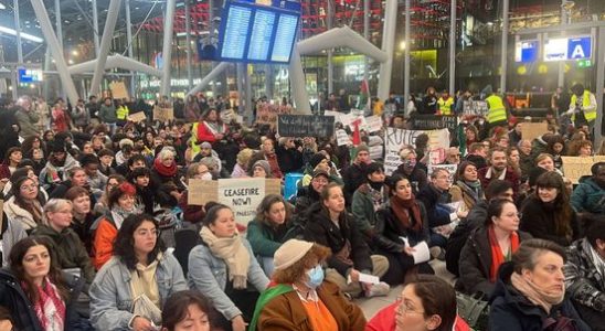 Many people participate in a sit in for Palestine at Utrecht