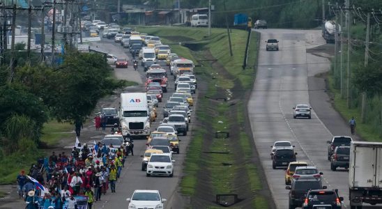 Motorist shot dead activists on motorway