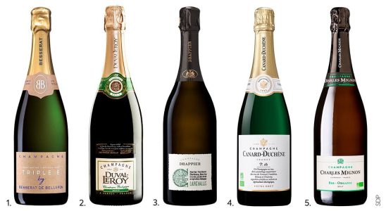 Organic champagnes our favorites for 2023
