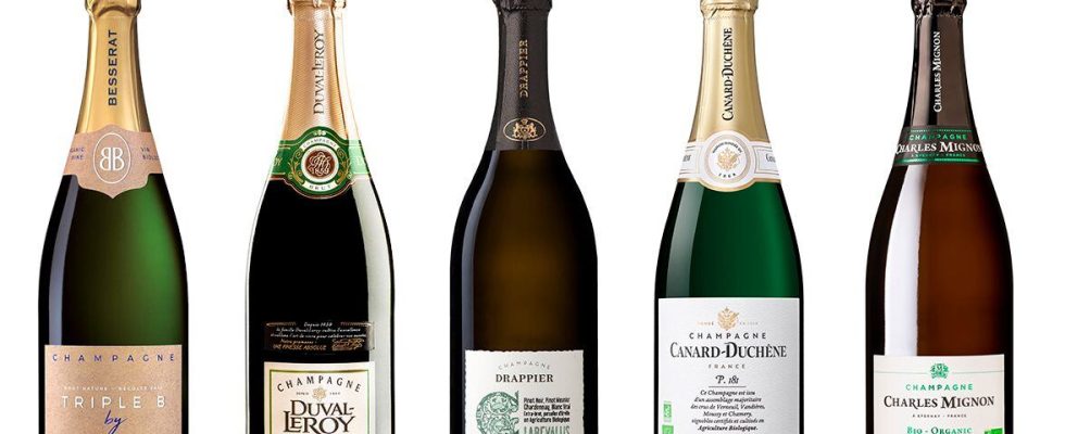 Organic champagnes our favorites for 2023