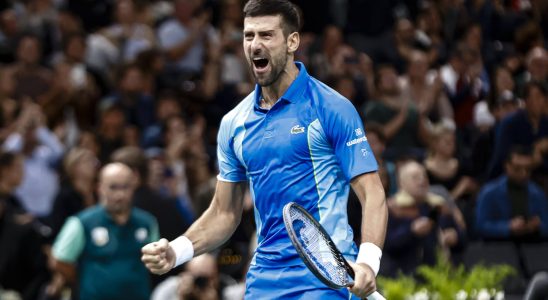 Paris Bercy Masters 1000 2023 Djokovic winner against all odds Full