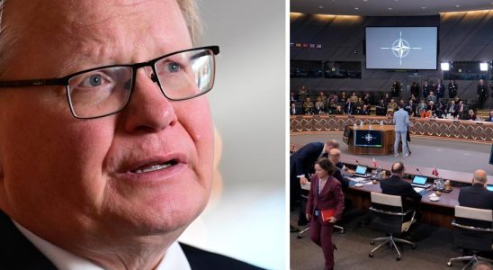 Peter Hultqvist Is humiliating for Sweden