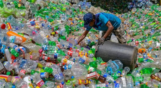 Recycling helps perpetuate plastic pollution – LExpress