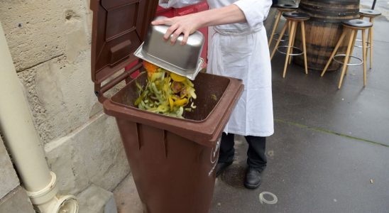 Sorting of bio waste in France is due in January