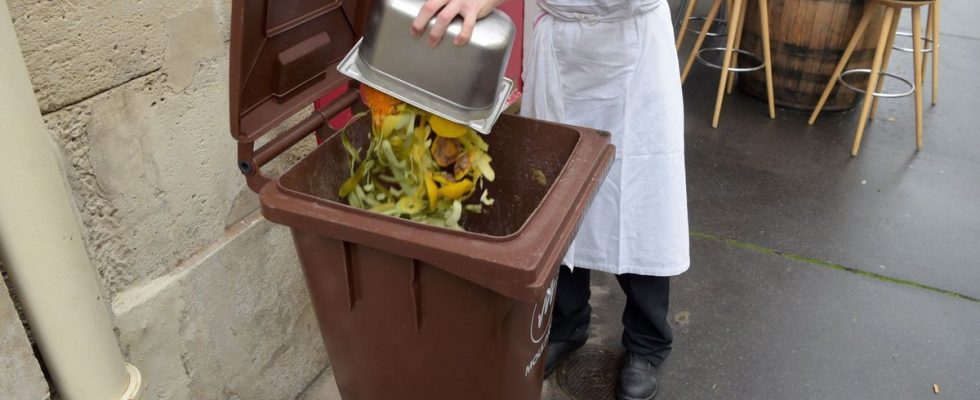 Sorting of bio waste in France is due in January