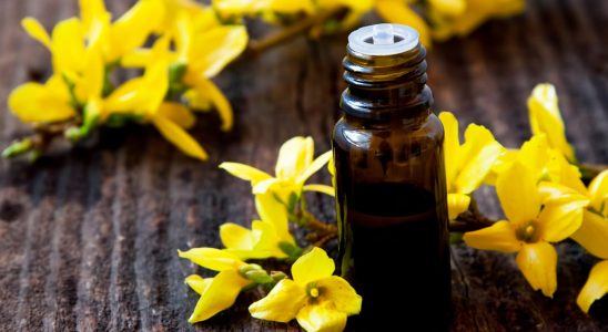 The Perfect Ylang Ylang Essential Oil for Fall And Heres Why