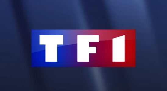 The TF1 television group will launch a brand new free