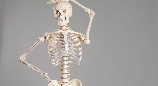 The number of bones in the human body decreases drastically