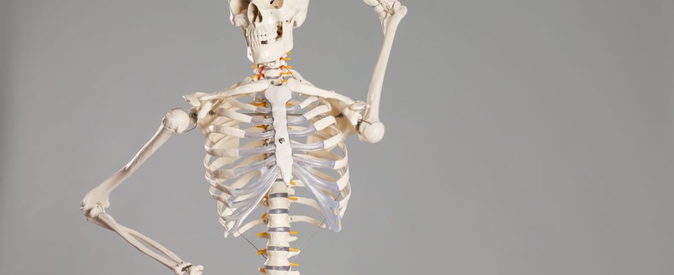 The number of bones in the human body decreases drastically