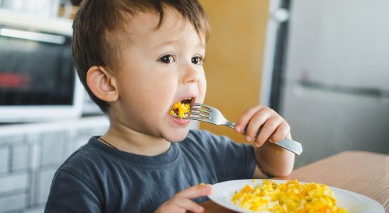 These 6 egg based recipes are prohibited for children under 6