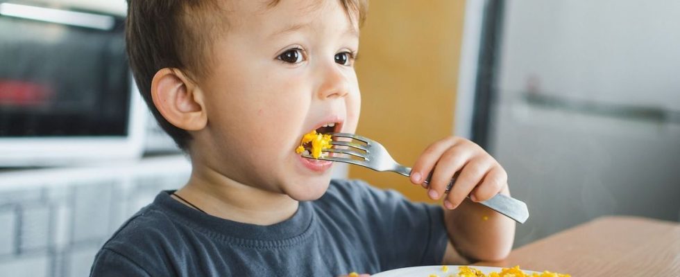 These 6 egg based recipes are prohibited for children under 6