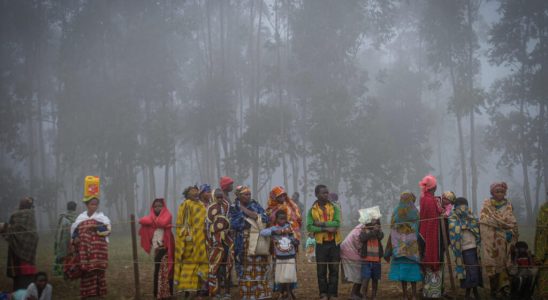 Thirty years of conflict in eastern DRC seen by African