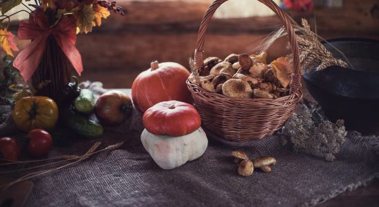 This flagship food of fall is the perfect anti aging agent
