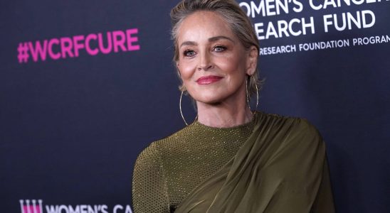 This hair accessory adopted by Sharon Stone is the one
