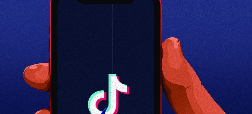 TikTok Chinas weapon to try to influence the elections –