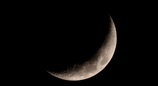 What does the New Moon of November 13 have in