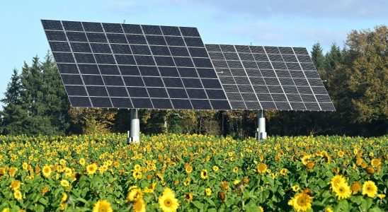 our advice for investing in renewable energies – LExpress