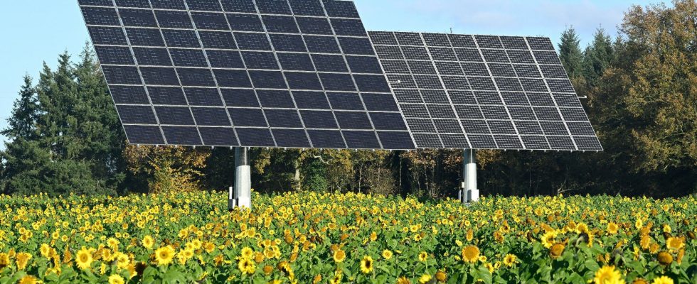 our advice for investing in renewable energies – LExpress