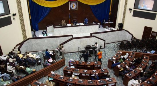 the National Transitional Council votes for general amnesty
