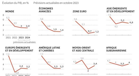 the OECD sharply lowers its forecast for 2024 – LExpress