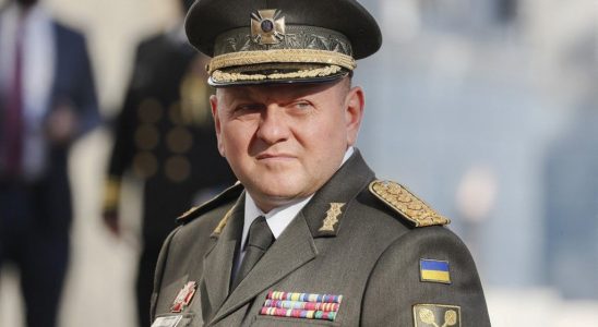 the commander in chief of the Ukrainian army admits an impasse –