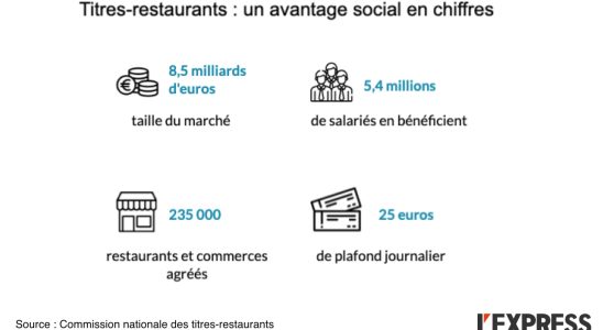 the favorite social benefit of the French in figures –