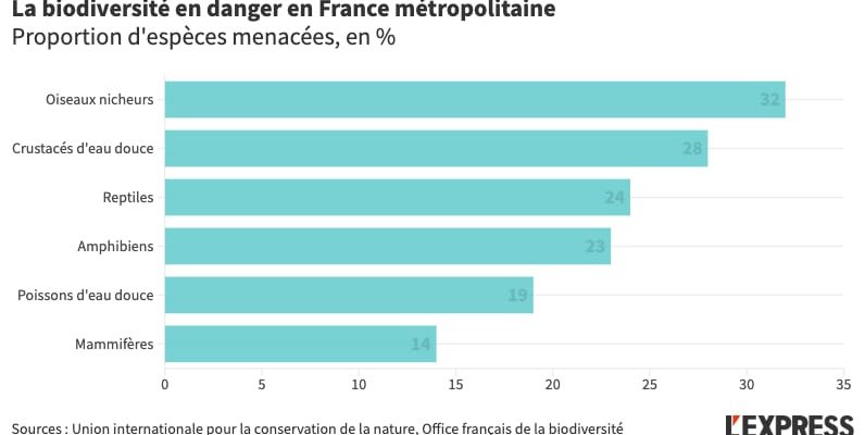 the figures for the collapse of life in France –