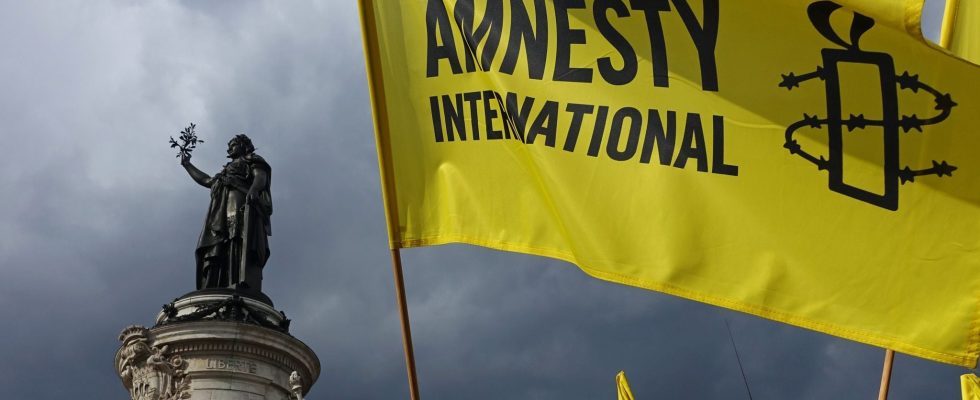 when Amnesty International doesnt know how to call a spade