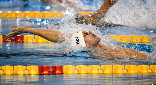 2023 European Swimming Championships Gastaldello Pigre Kirpichnikova Fridays medal chances