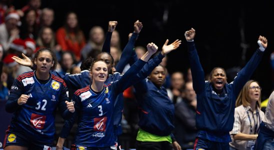 2023 Womens World Handball Championships what date for the semi final