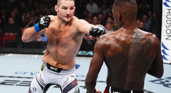 Adesanya Usman Du Plessis contrasting year for African UFC stars