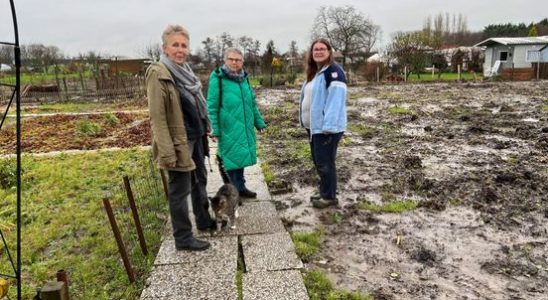 Allotment gardens in Mijdrecht may stay longer but dissatisfaction remains
