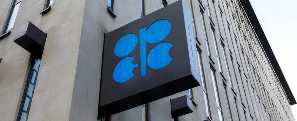 Angola withdraws from OPEC disagreement with oil quotas