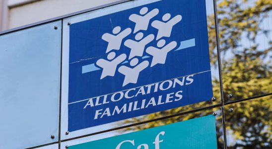 Are there many foreigners benefiting from social assistance in France