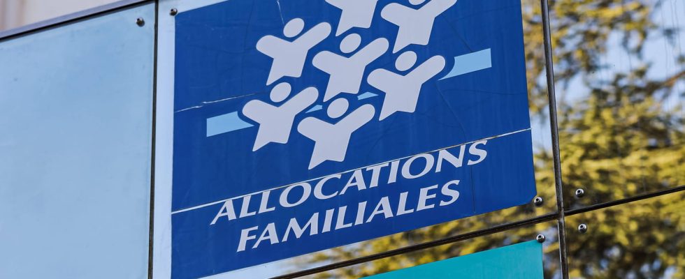 Are there many foreigners benefiting from social assistance in France