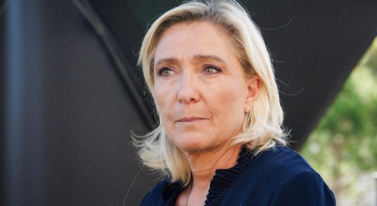 Assistants to FN MEPs Marine Le Pen and her party