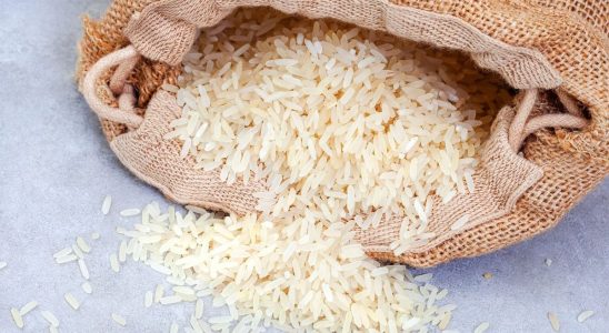 Basmati rice recalled due to insect risk