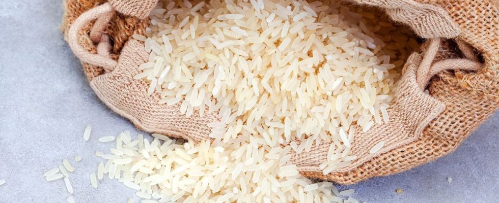 Basmati rice recalled due to insect risk